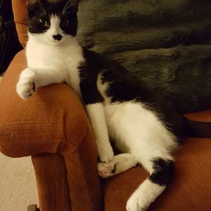 Meet your Posher, Michelle